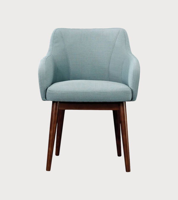 Modern Stylish Soft Chair